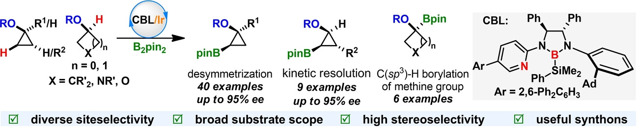 Site- and Stereoselective C(sp3)−H Borylation of Strained (Hetero)Cycloalkanols Enabled by Iridium Catalysis
