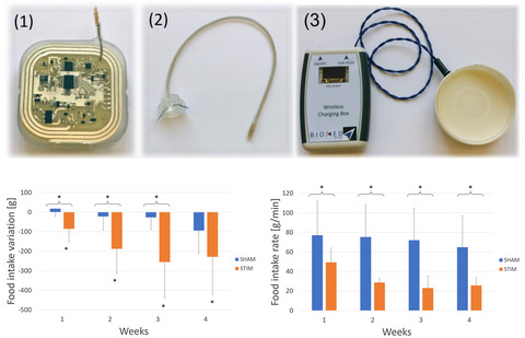 Impact of adaptive gastric electrical stimulation on weight, food intake, and food intake rate in dogs