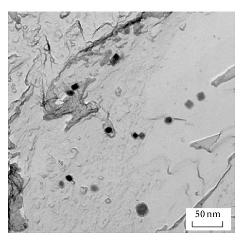 Details are in the caption following the image