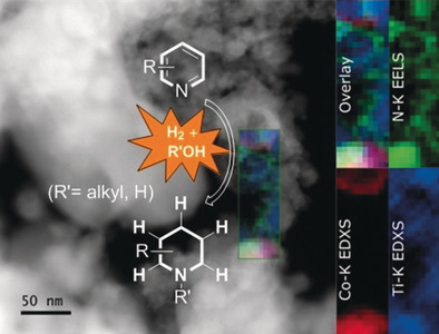 Hydrogenation of Pyridines Using a Nitrogen-Modified Titania-Supported Cobalt Catalyst