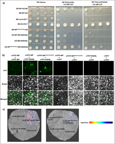 Details are in the caption following the image Details are in the caption following the image