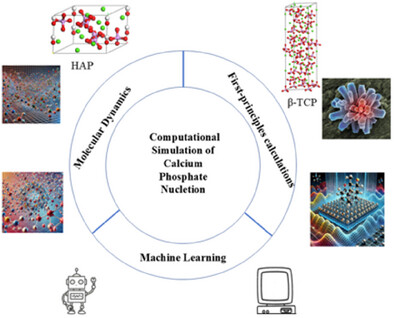 Advances and Challenges in Computational Simulation of Calcium Phosphate Nucleation Issue ,