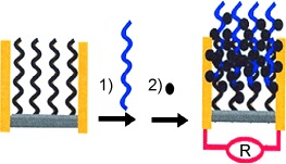 Direct Detection of Nucleic Acids by Tagging Phosphates on Their Backbones with Conductive Nanoparticles