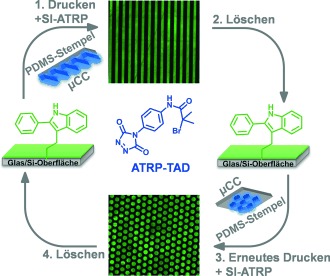 Herstellung mikrostrukturierter Polymerbürsten auf wiederbeschreibbaren Oberflächen durch Triazolindion-Click-Chemie