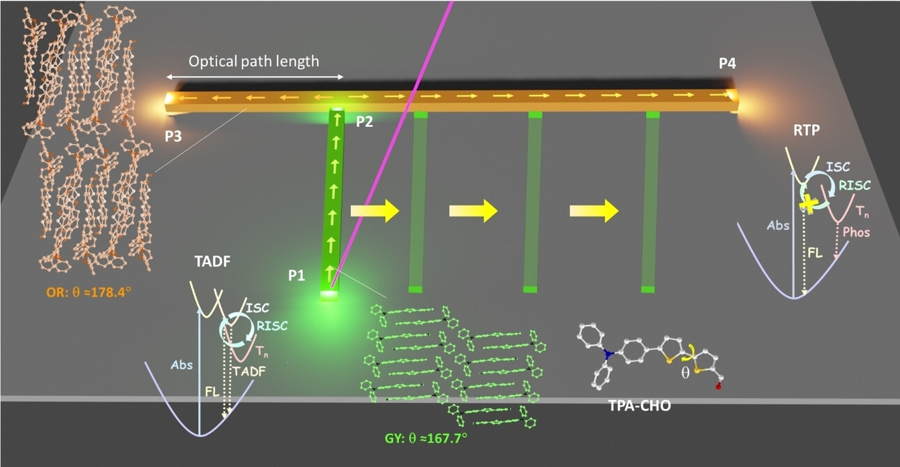 Capturing the Interplay Between TADF and RTP Through Mechanically Flexible Polymorphic Optical Waveguides