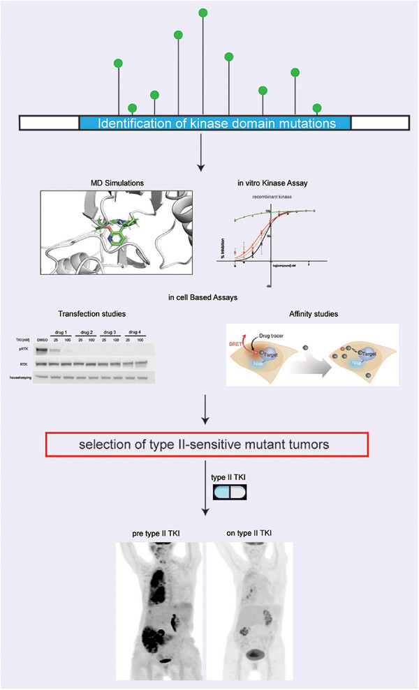Responsiveness of different MET tumour alterations to type I and type II MET inhibitors