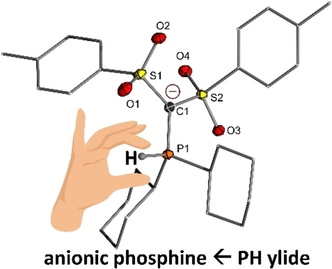 From Stable PH-Ylides to α-Carbanionic Phosphines as Ligands for Zwitterionic Catalysts