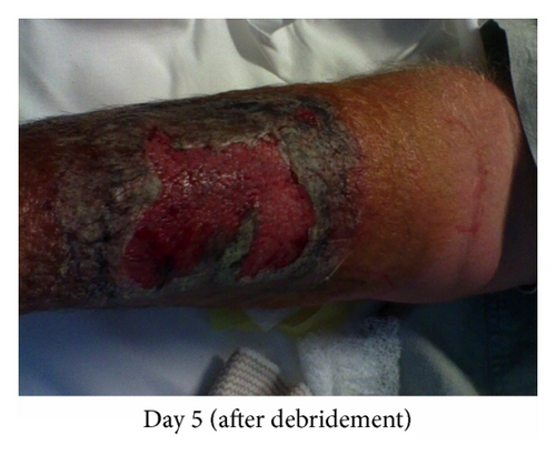 Details are in the caption following the image Details are in the caption following the image