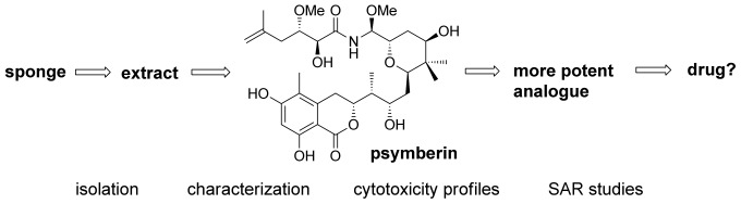 The Psymberin Story—Biological Properties and Approaches towards Total and Analogue Syntheses
