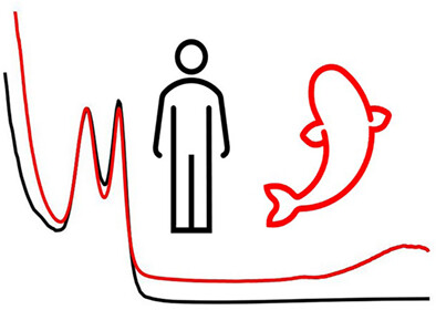 Data for characterization of the optical properties of Atlantic salmon (Salmo salar) blood
