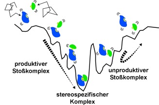 Probing Target Search Pathways during Protein–Protein Association by Rational Mutations Based on Paramagnetic Relaxation Enhancement