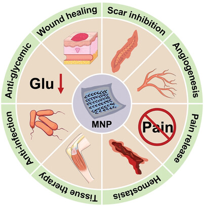 Targeting Diverse Wounds and Scars: Recent Innovative Bio-design of Microneedle Patch for Comprehensive Management