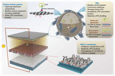 Regulating Polysulfide Conversion Kinetics Using Tungsten Diboride as Additive For High-Performance Li–S Battery