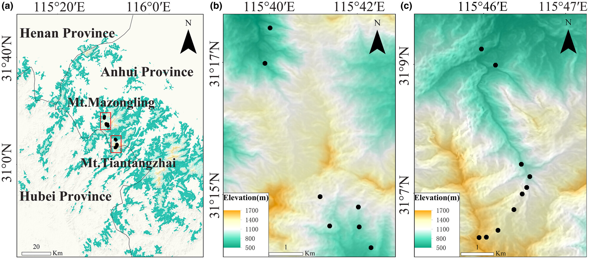 Dispersal limitation and environmental filtering effects: The taxonomic and functional beta diversity of ground beetles along the altitudinal gradient in Chinese warm-temperature forests