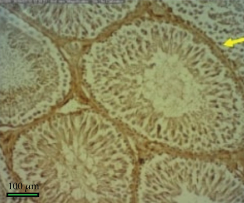 Details are in the caption following the image