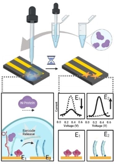 A DNA Barcode-Based Aptasensor Enables Rapid Testing of Porcine Epidemic Diarrhea Viruses in Swine Saliva Using Electrochemical Readout