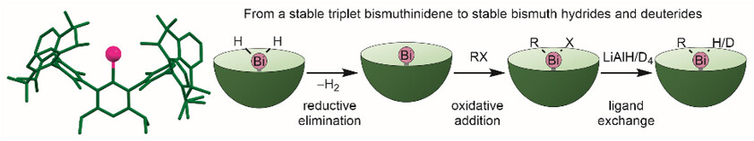 Synthesis and Reactivity of a Mono-Coordinated Triplet Bismuthinidene