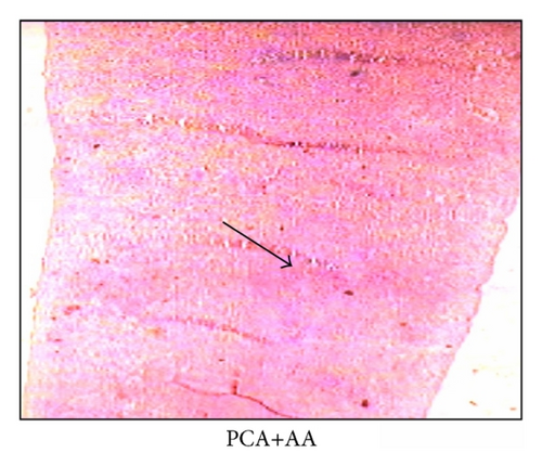 Details are in the caption following the image