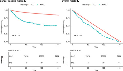 Prognostic values of the clinicopathological characteristics and survival outcomes in micropapillary urothelial carcinoma of the bladder: A SEER database analysis