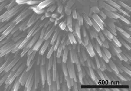 Catalytic Growth of Single-Crystalline V2O5 Nanowire Arrays