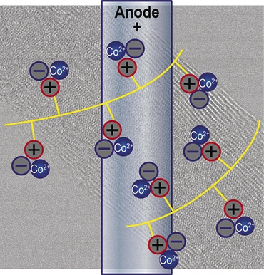 Cobalt-Bridged Ionic Liquid Polymer on a Carbon Nanotube for Enhanced Oxygen Evolution Reaction Activity