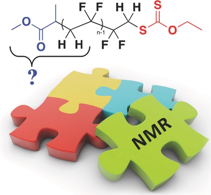 A Journey into the Microstructure of PVDF Made by RAFT