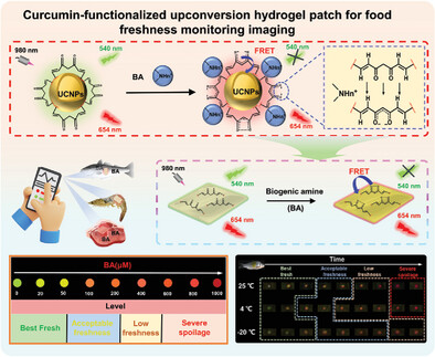 Background-Free Imaging of Food Freshness Using Curcumin-Functionalized Upconversion Reversible Hydrogel Patch
