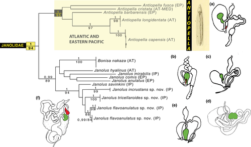 Details are in the caption following the image Details are in the caption following the image