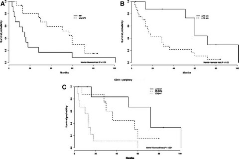 Prognostic significance of mast cell and microvascular densities in malignant peripheral nerve sheath tumor with and without neurofibromatosis type 1