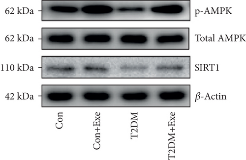 Details are in the caption following the image