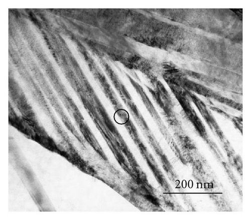 Details are in the caption following the image