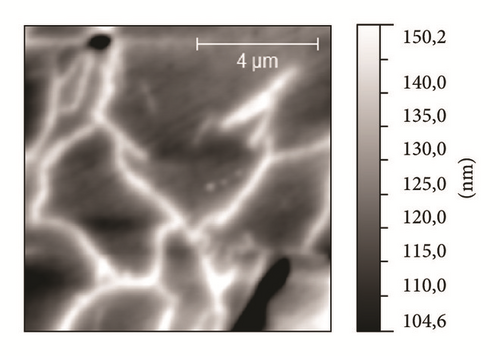 Details are in the caption following the image