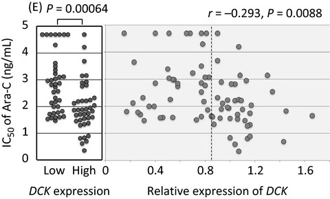 Clofarabine exerts antileukemic activity against cytarabine-resistant B-cell precursor acute lymphoblastic leukemia with low deoxycytidine kinase expression