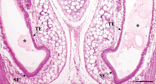 Details are in the caption following the image Details are in the caption following the image