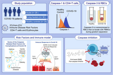 Caspases and therapeutic potential of caspase inhibitors in moderate–severe SARS-CoV-2 infection and long COVID