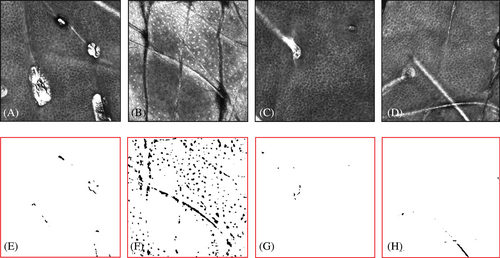 Details are in the caption following the image Details are in the caption following the image