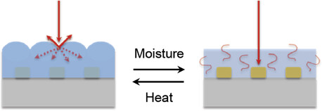 Programmable Self-Regulation with Wrinkled Hydrogels and Plasmonic Nanoparticle Lattices