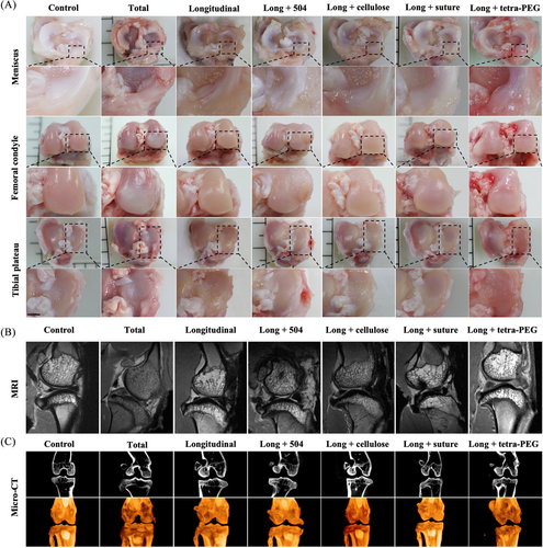 Details are in the caption following the image Details are in the caption following the image