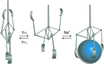 Synthese, Struktur und Komplexierungseigenschaften von amidsubstituierten Norbornadien- und Quadricyclanderivaten