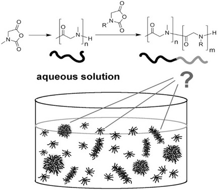 Self-Assembly of Amphiphilic Block Copolypeptoids with C2-C5 Side Chains in Aqueous Solution