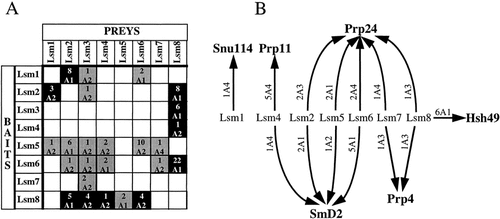 Details are in the caption following the image Details are in the caption following the image