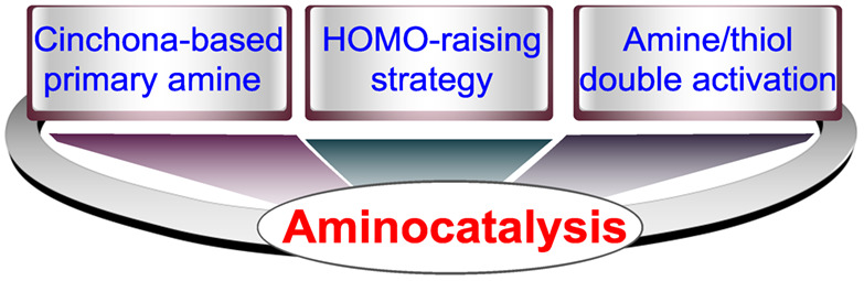 New Amines and Activation Modes in Asymmetric Aminocatalysis