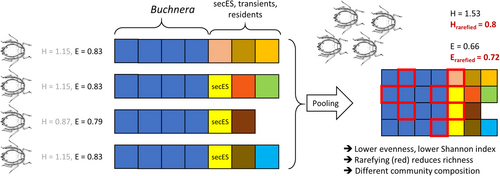 Details are in the caption following the image