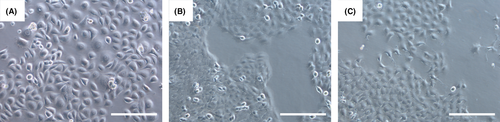 Details are in the caption following the image