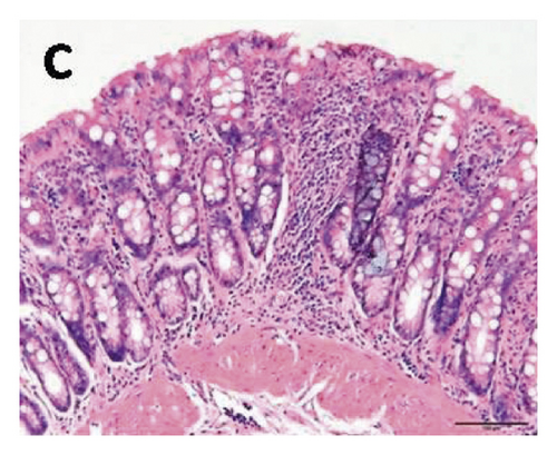 Details are in the caption following the image Details are in the caption following the image