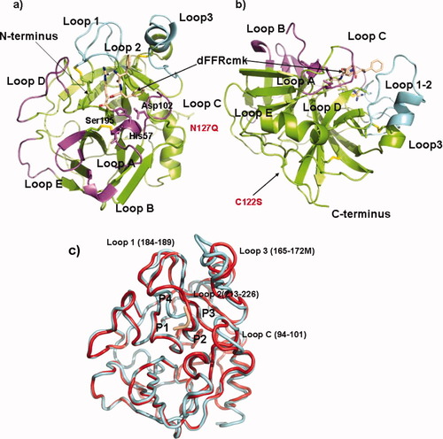 Details are in the caption following the image Details are in the caption following the image