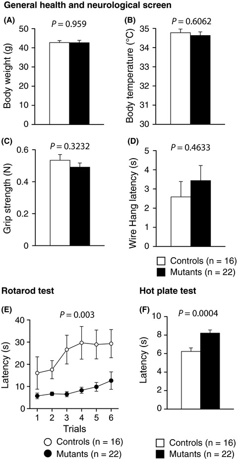 Comprehensive behavioral analysis of heterozygous Syngap1 knockout mice