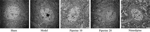 Details are in the caption following the image Details are in the caption following the image