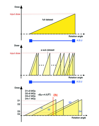 Guidelines for de novo phasing using multiple small-wedge data collection. Corrigendum