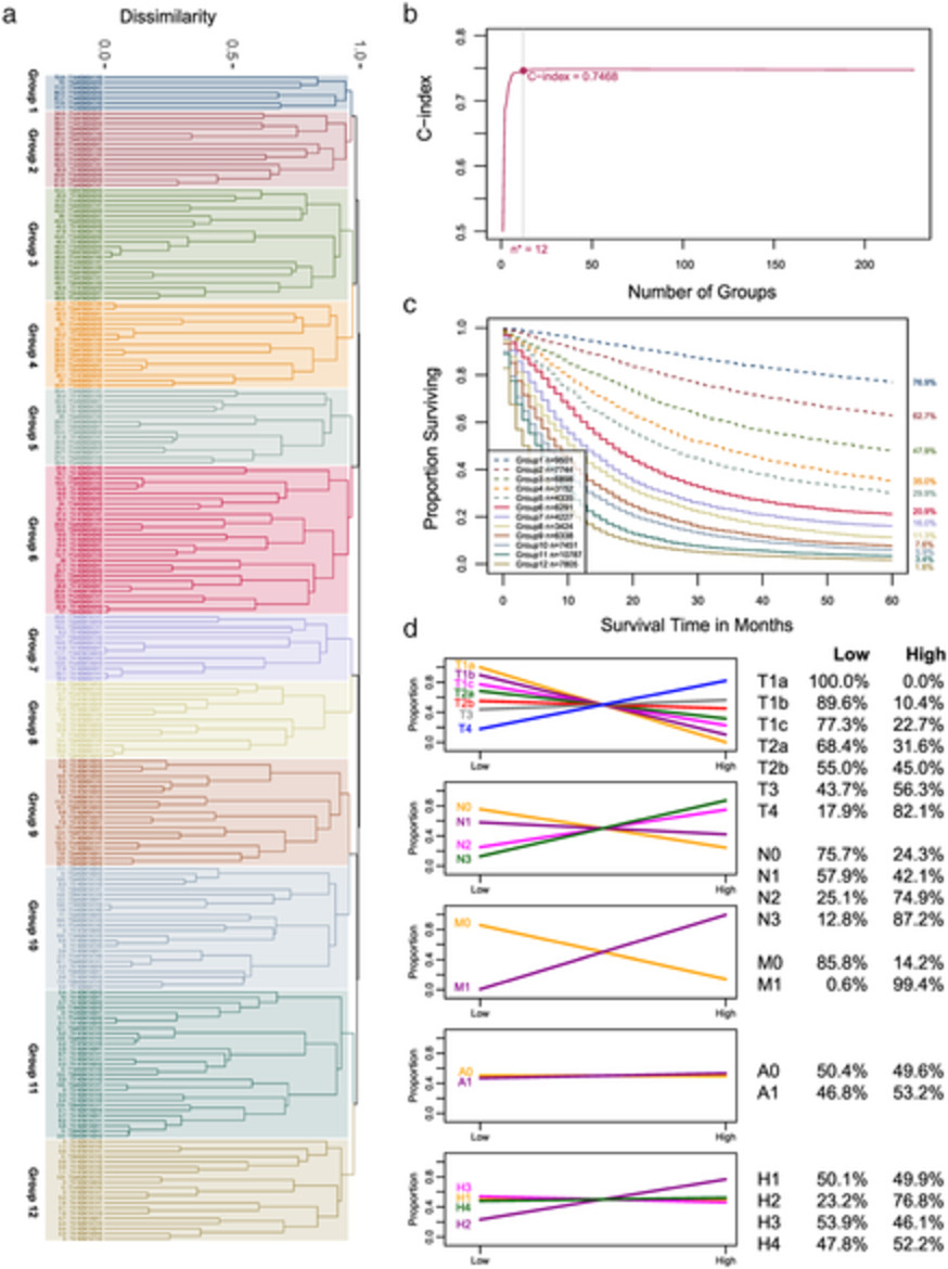 Expanding TNM for lung cancer through machine learning
